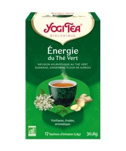 Energie du thé vert - Infusion Ayurvédique BIO, 17 sachets